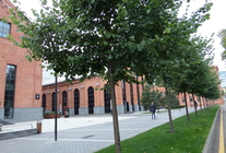 Аренда и продажа офиса в Бизнес-парк "Арма"